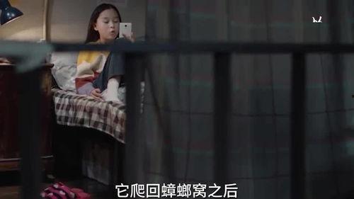 印度小姐姐爆料视频播放,爆款视频背后的真实故事  第2张