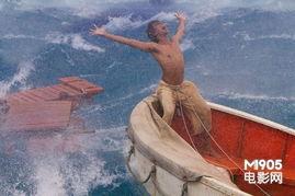 少年的奇幻漂流在线观看,一场惊心动魄的冒险之旅  第3张